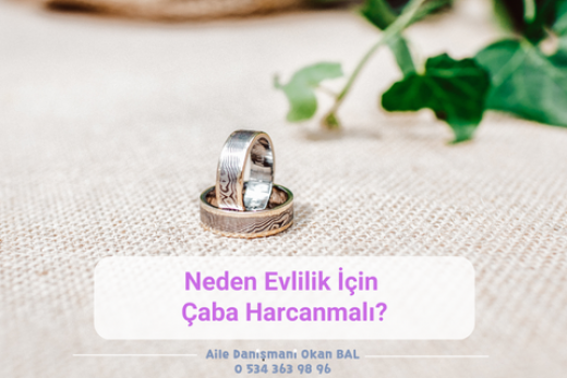 nedenevlilik